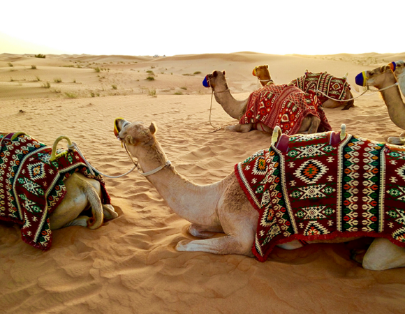 BAŞTAN BAŞA GİZEMLİ MISIR TURU