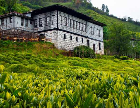 Kurban Bayramı Özel Karadeniz Rüzgarı Ve Batum Turu