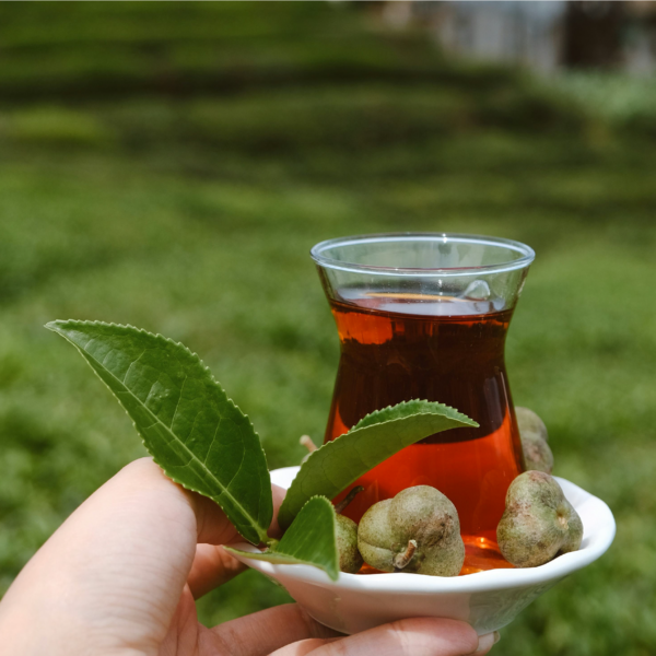 KARADENİZ RÜYASI VE BATUM TURU