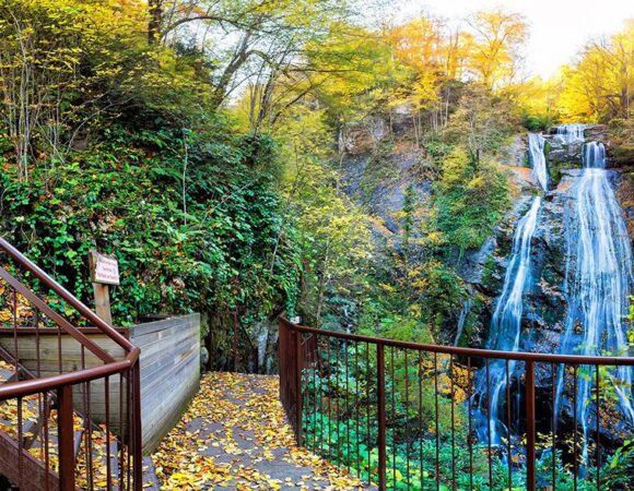 DÜZCE ŞELALELER TURU