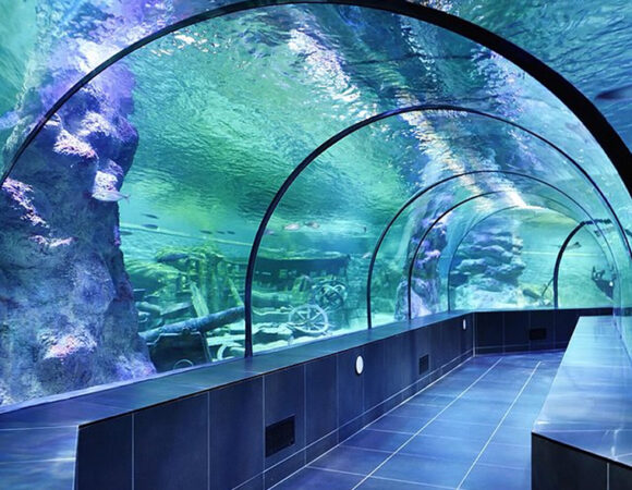 İstanbul Akvaryum Turu