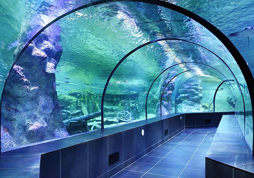 İstanbul Akvaryum Turu