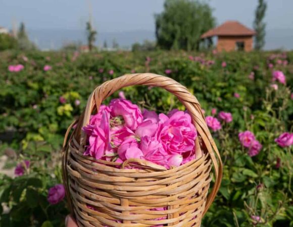 Isparta Gül Festivali Turu