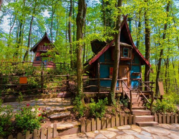 Maşukiye Yedigöller Abant Turu