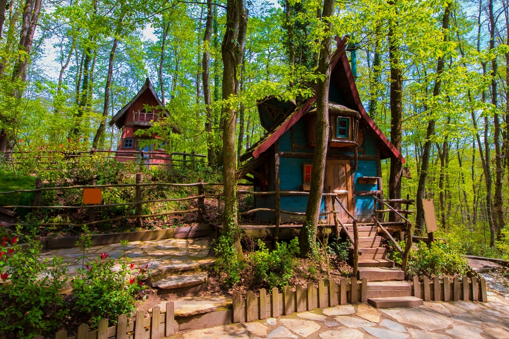 Maşukiye Yedigöller Abant Turu