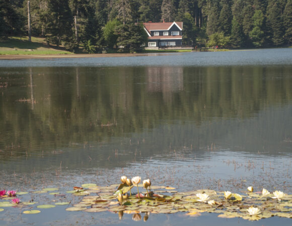 Abant Safranbolu Turu
