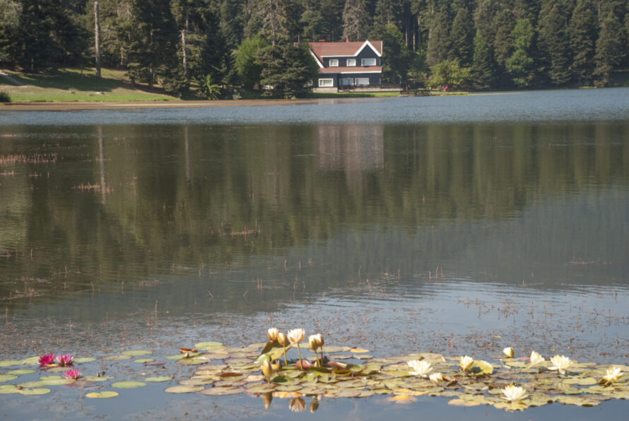 Abant Safranbolu Turu