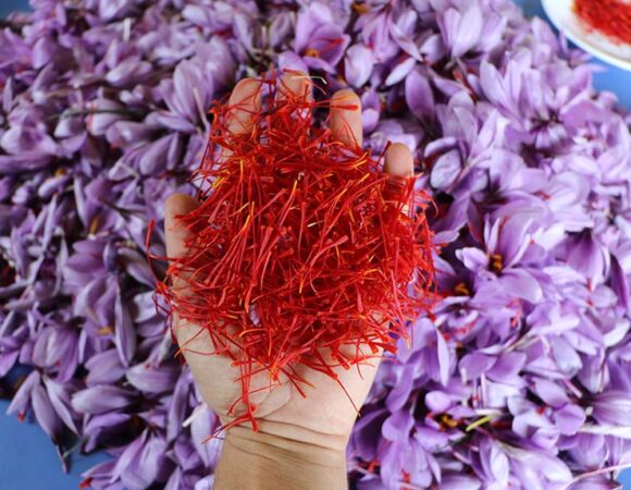 Safranbolu Safran Festivali Turu