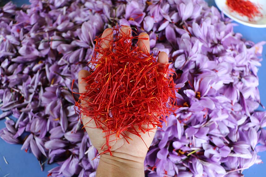 Safranbolu Safran Festivali Turu