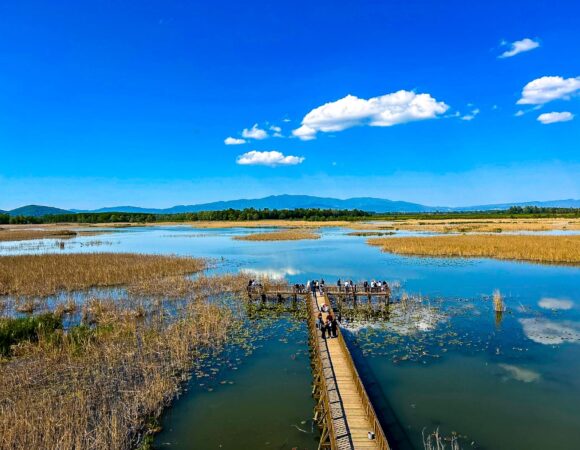 Abant Yedigöller Turu