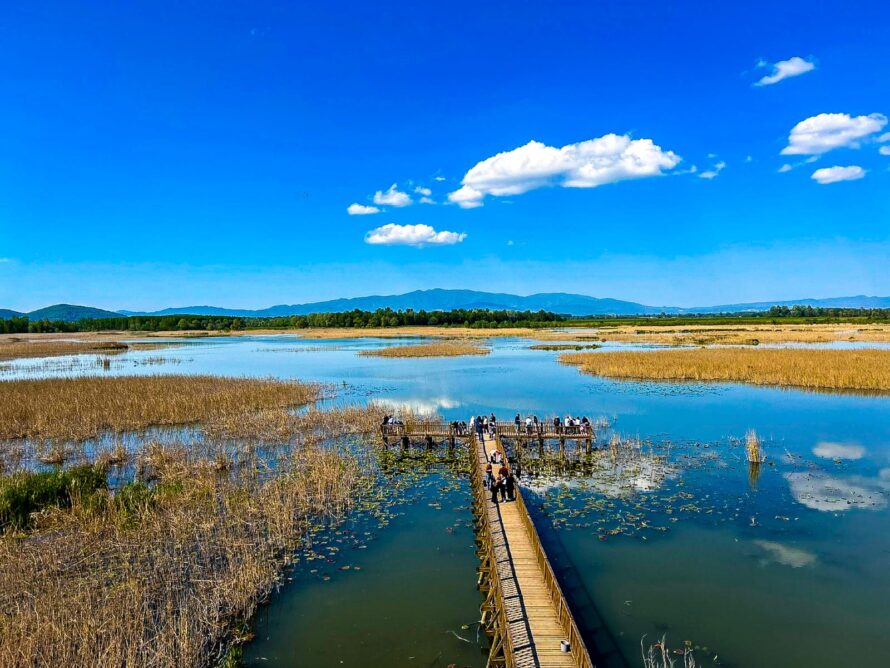 Abant Yedigöller Turu