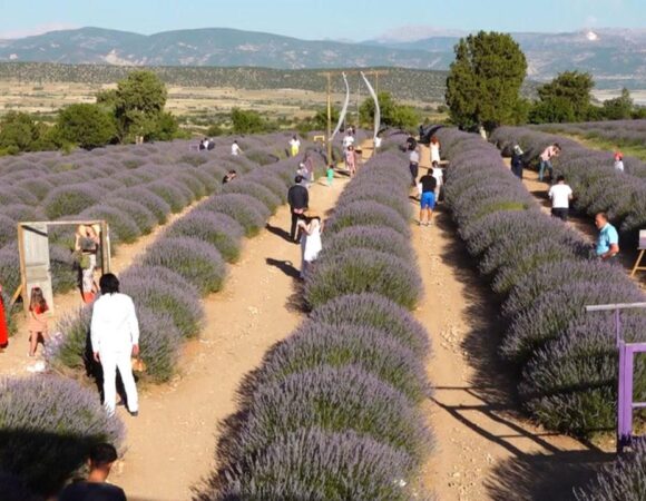 Isparta Lavanta Festivali Turu
