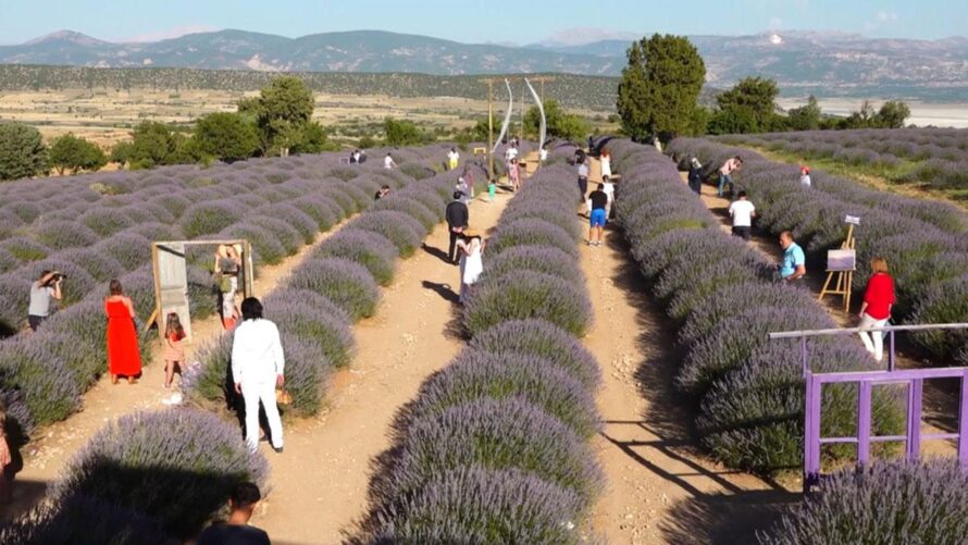 Isparta Lavanta Festivali Turu